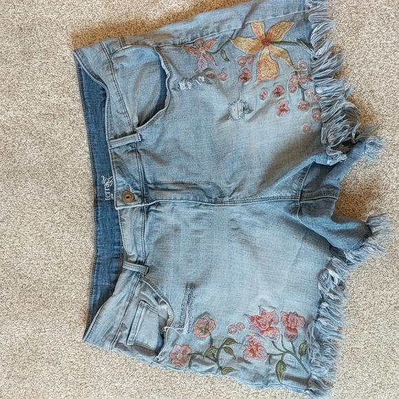 Terra & Sky Pants - Terra & Sky Detailed Jean Shorts